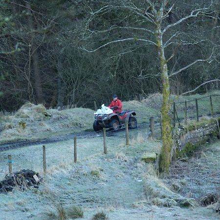 Abbotshaw House Farm B&B Newcastleton Buitenkant foto