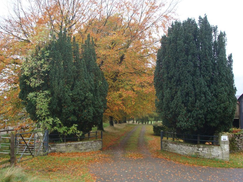 Abbotshaw House Farm B&B Newcastleton Buitenkant foto