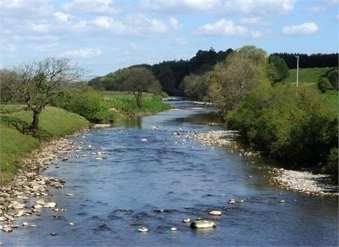 Abbotshaw House Farm B&B Newcastleton Buitenkant foto